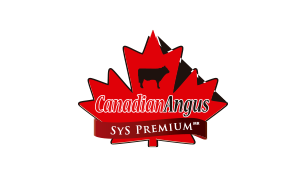 Canadian Angus Canadian Angus