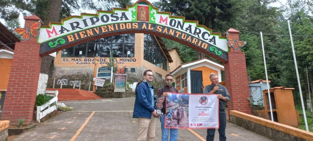 Estuvimos presentes en la mega reforestación del santuario de la mariposa monarca en Ocampo, Michoacán.